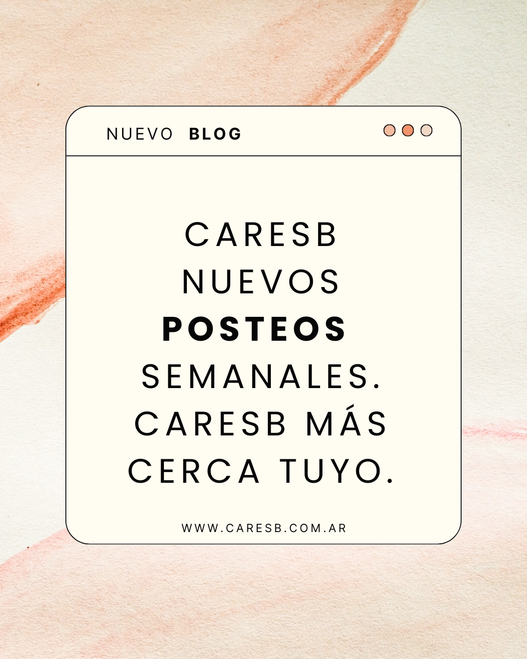 Blog